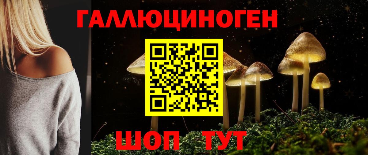 Псилоцибиновые грибы прущие грибы  Галлюциногенные грибы Psilocybine cubensis  Чайковский  Вход с VPN 